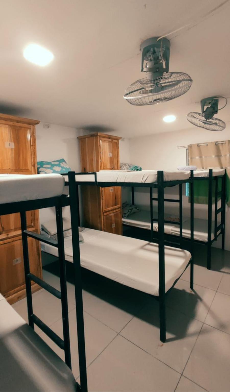 Island Girl Bed And Breakfast Moalboal Buitenkant foto